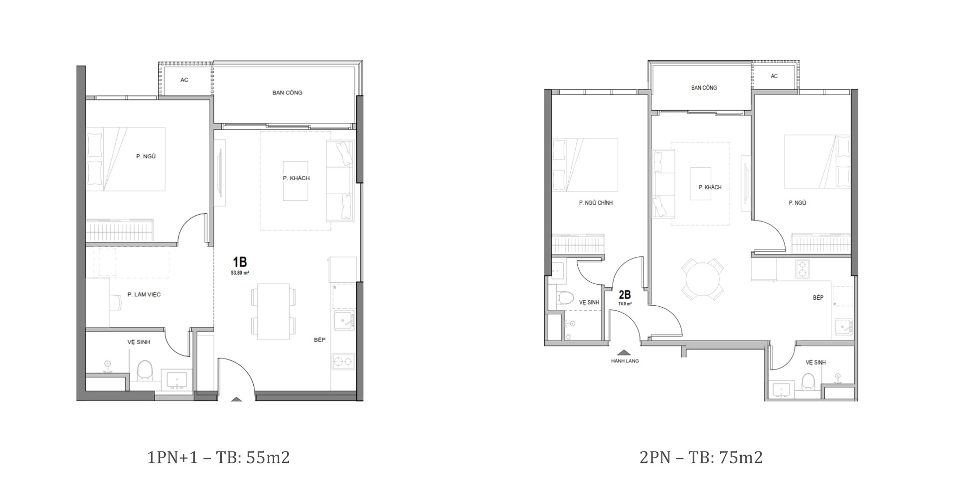 thiết kế căn hộ